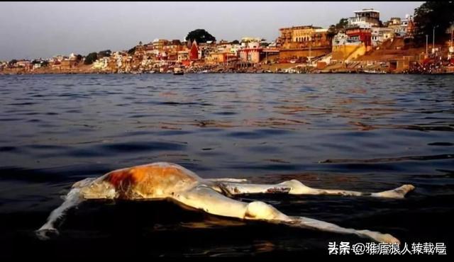 恒河水是什么梗，印度恒河水是什么梗（半个元素周期表。”被奉为“圣河”的水为啥那么脏）