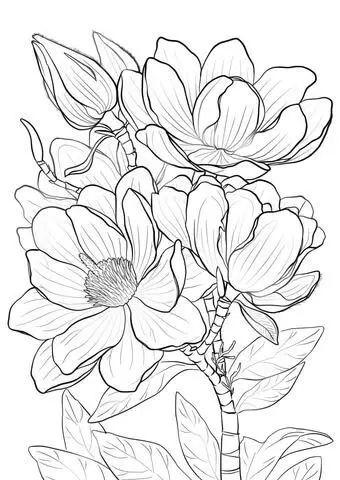 简单的花怎么画，如何画小花花简笔画（一朵花，简单的几笔就可以了）