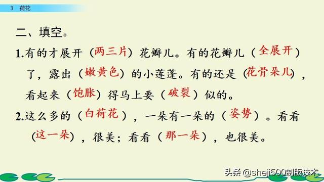 莲蓬的蓬是不是读轻声，莲蓬的蓬为什么读轻声（部编版语文三年级下册第3课《荷花》图文讲解）