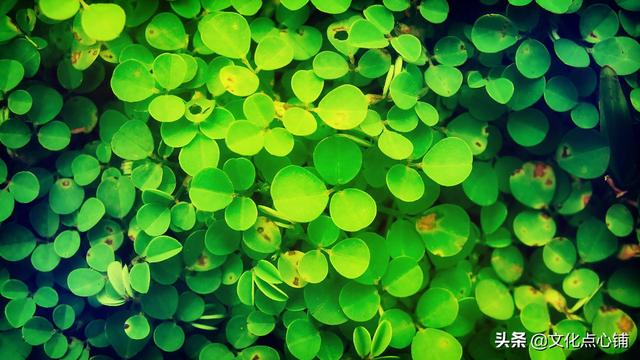 留恋不舍的句子，对一个地方留恋不舍的句子（十首深情唯美相思词）