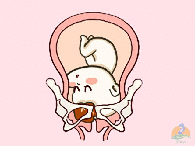 可能很多人都想象不到,胎儿的打嗝和胎位的变化也有关联.