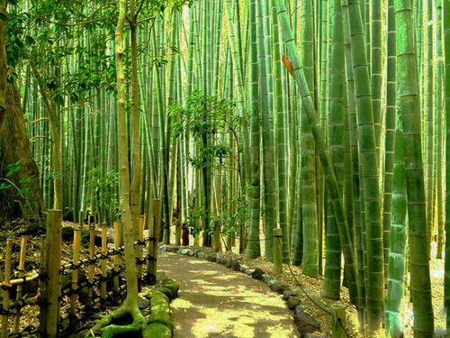 亲情的句子唯美简短，亲情的句子唯美简短好听（关于亲情的好段落）