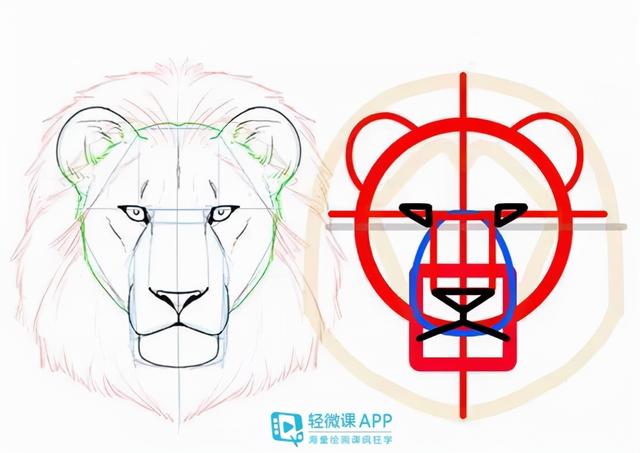 7步教你学会画老虎，7步教你学会画老虎视频（动物简单画法技巧）