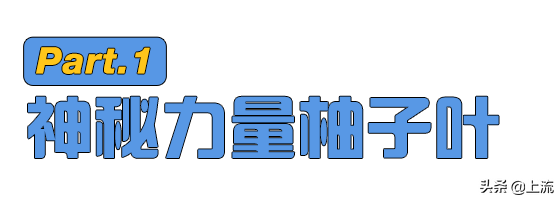 柚子叶去晦气的方法，用柚子叶辟邪讲究什么（如何成为广东人的转运密码）