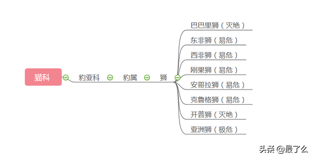 美洲豹和黑美洲狮有什么区别，一篇文章带你读懂大型猫科动物分类