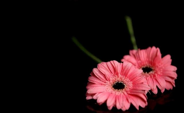 有缘无份是什么意思，佛教如何解释有缘无份（有一个人，注定与你有缘无份）