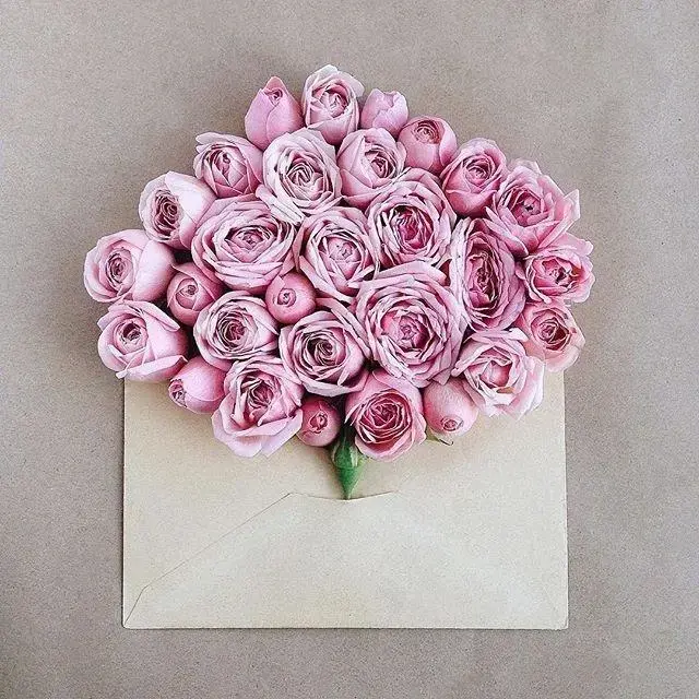 砍价最有用的句子，砍价经典语录（高情商的人发朋友圈的句子）