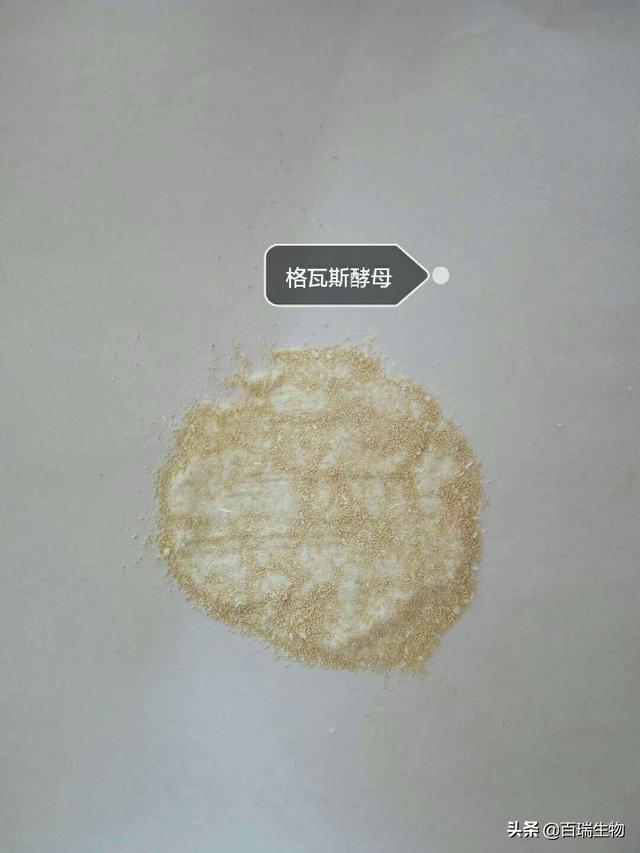 活性干酵母的作用与功效，干酵母有什么作用（水产养殖——酵母篇）
