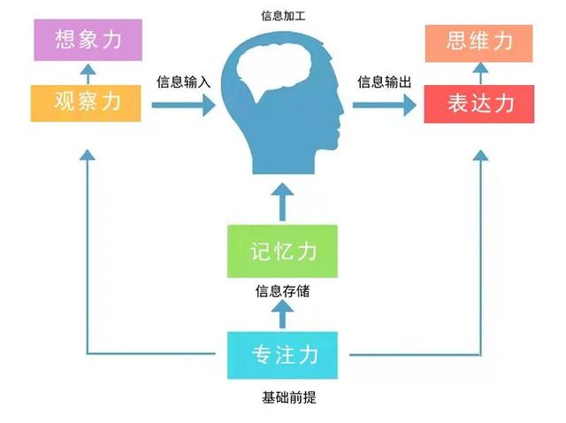 儿童益智游戏大全，适合幼儿玩的益智游戏（一口气挖来20个培养专注力的亲子游戏）