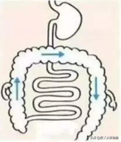 顺时针是什么方向，顺时针是什么方向图片（按摩腹部应该朝哪个方向）