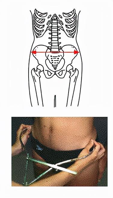 大腿小腿黄金比例，腿长怎么量（女生腿长怎么量）