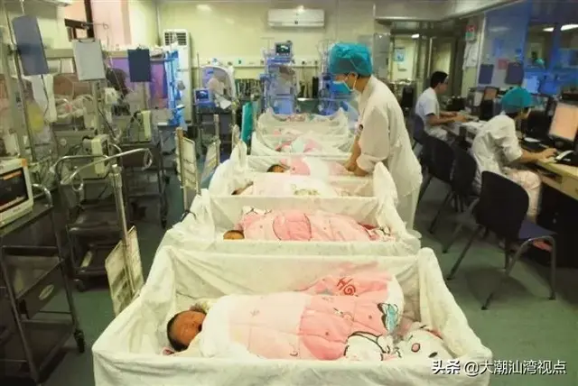 欣彤两字的意思是什么，欣彤这个名字的含义（汕头2019年宝宝取名热门名字及十大姓氏）