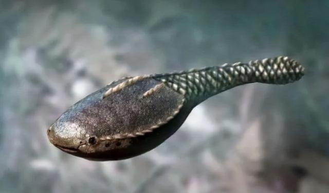 宇宙进化系统，为什么只有人类进化出高度发达的大脑