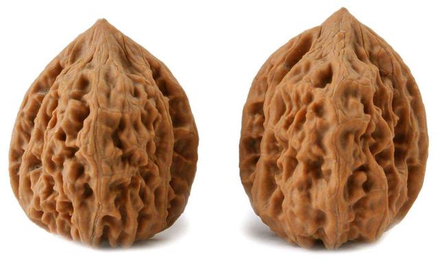 铁核桃和麻核桃区别，铁核桃和麻核桃怎么区分（一文带你全方位了解文玩核桃）