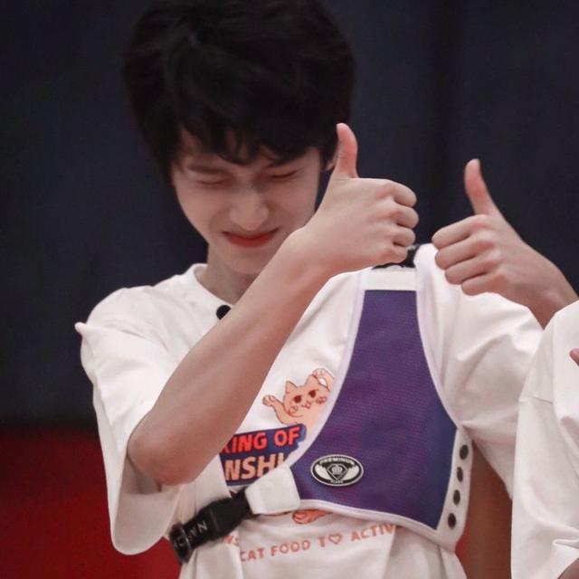 陈子言/严浩翔头像，严浩翔头像女微信（严浩翔头像）