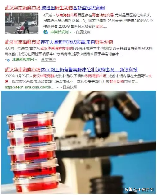 狼牙什么属相的人不能佩戴，不适合带狼牙的属相（这5种动物首饰你还敢戴）