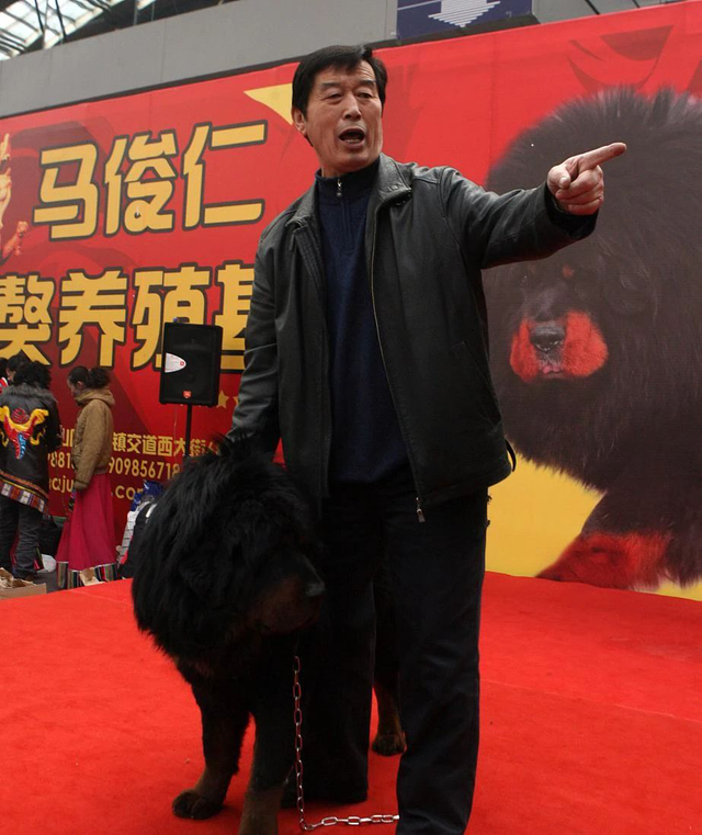 世界第一獒王2亿，中国藏獒十大獒王排名（泡沫是怎么破灭的）