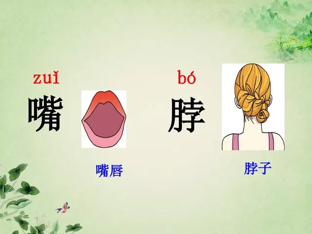 据说的近义词是什么，含有近义词的四字词语（部编版一年级下册《语文园地四》知识点+图文讲解）