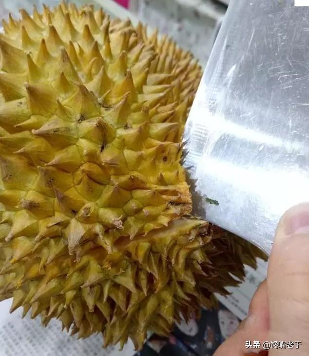 榴莲几月份最便宜，榴莲旺季是几月份（榴莲要大量上市了）