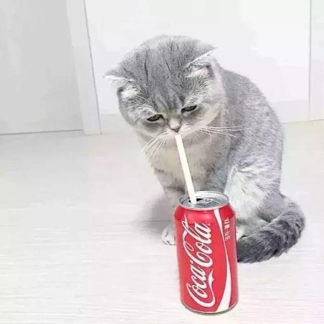 情头，兄弟头我觉着都可，微信头像，情头，兄弟头我觉着都可（我一人承受不来，好兄弟）