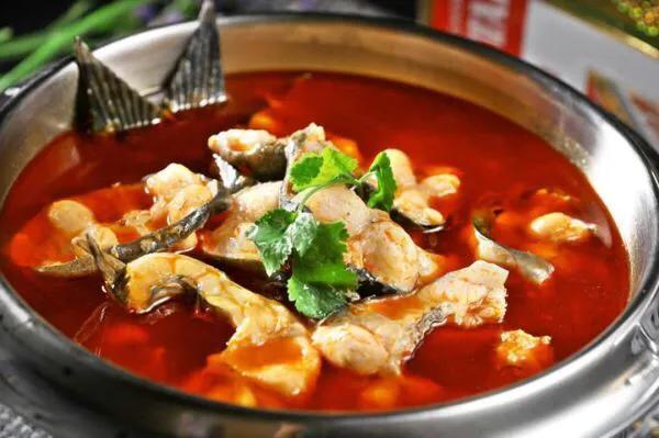 中国名菜有哪些，中国名菜有什么（被誉为中国菜之经典）