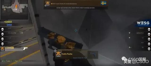 csgo职业比赛eco局五把沙鹰，CSGO职业哥的皮肤大赏