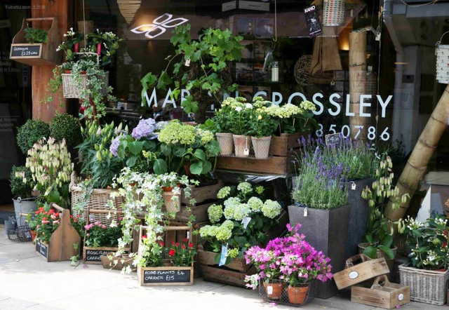 花店名称寓意,高端的花店名字有哪些(有哪些好听的花店名字)