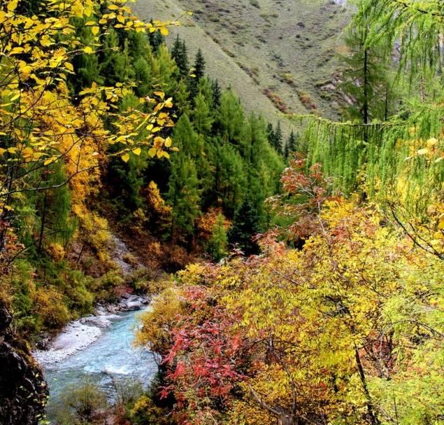 偏远地区不包邮指的是哪些地区，不包邮的六个偏远地区（甘肃为什么不包邮）