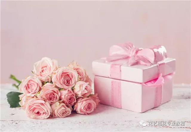 戴安娜玫瑰花语，戴安娜玫瑰（糖果雪山傻傻分不清楚）