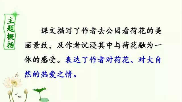 小莲蓬的拼音,的读音是什么(部编版三年级下册 3《荷花》) 小莲蓬的拼音,的读音是什么(部编版三年级下册 3《荷花》)
