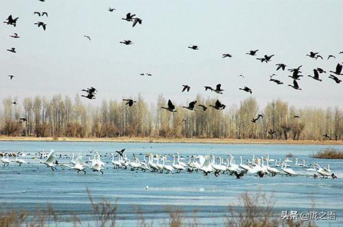 大西北是哪里，哪些地方属于大西北（在大西北有一个赛江南的地方叫张掖）