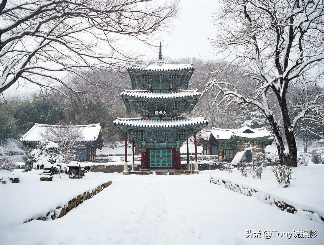 雪景拍摄技巧，雪景如何拍摄（十多种拍摄思路教你拍）