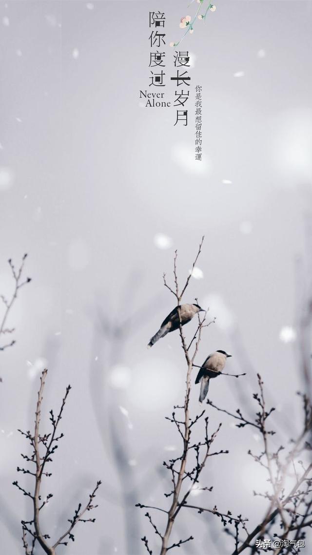 12个月都有什么情人节，二月没过情人节的今天补上