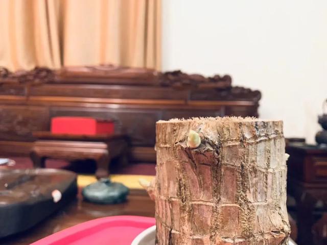 新浪邮箱客服电话24小时人工服务热线，微信零钱通客服电话人工服务（新浪微博，江湖再见！）