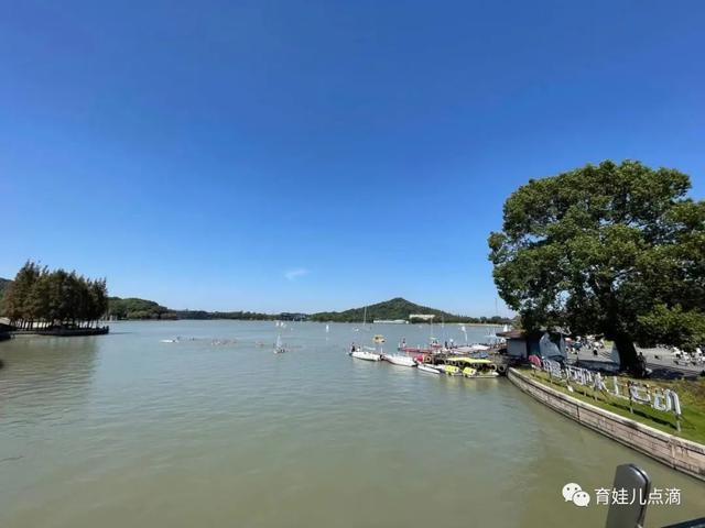 月湖雕塑公园攻略，上海怎么旅游省钱（月湖雕塑公园-面积大人不多除了贵和远其他都很好）