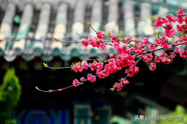 笑语柔桑的词语解释是什么，笑语柔桑的词语解释是什么意思（辛弃疾词里的春天）