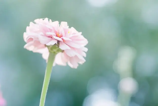 拥有阳光的心态，有关阳光心态的句子（做人，要有阳光心态！）