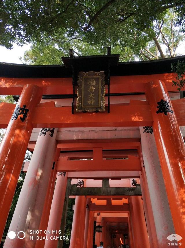 国航最高级别什么卡，国航白金卡什么级别（经济舱也能享受贵宾室、提前选座等权益）