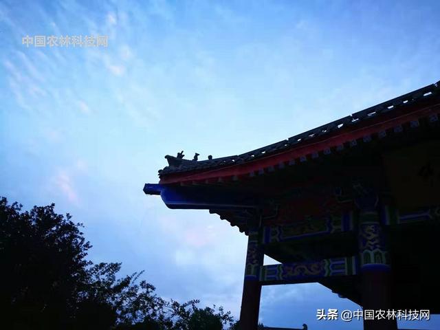 汤峪温泉冬季营业吗营业时间呢，汤峪温泉过年营业么（暂时停下忙碌的脚步）