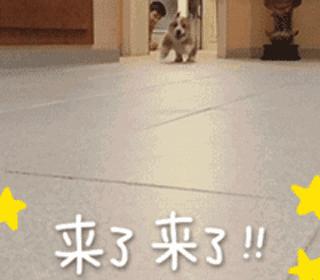 100种爱的方式，100种浪漫约会方法（为你准备了100种表白方式）