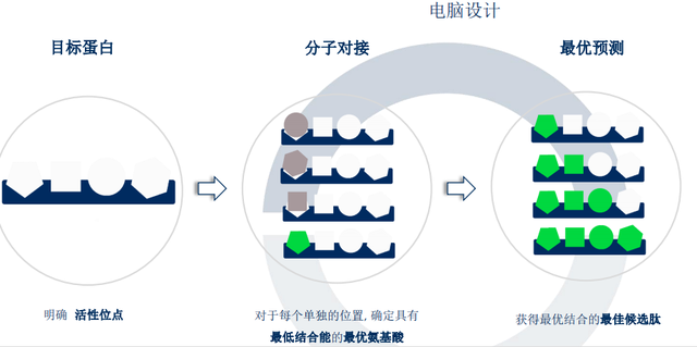 芋螺肽除皱能维持多久，芋螺肽对皮肤的作用（新型祛皱肽Munapsys-乙酰基六肽-1的神秘面纱）