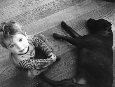 鑫祺的寓意，鑫字取名忌讳（用宋词给宝宝起名字）