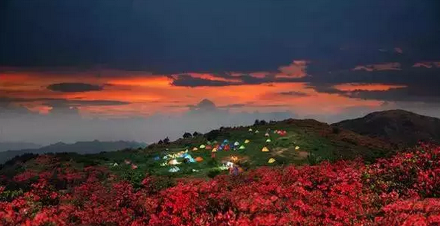 惊鸿一瞥浮生若梦，惊鸿一瞥浮生若梦意思（云上高坪）