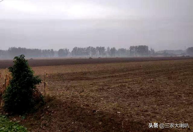 小麦什么时候播种，小麦什么时候播种最好（小麦该播种了，播期要推迟吗）