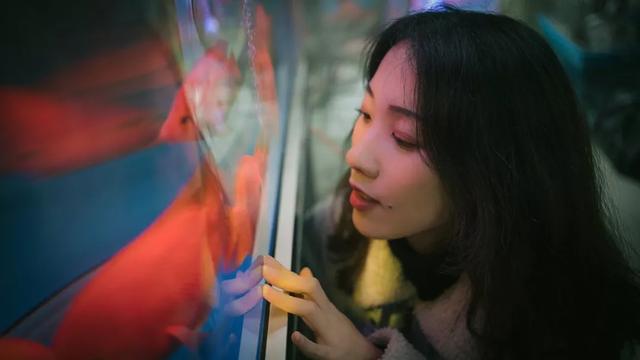 杭州哪个花鸟市场卖猫，杭州最大的花鸟市场在哪里（拍出“港风”，吴山花鸟市场）