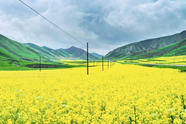 暑假适合带孩子旅游的地方有哪些？推荐8个凉爽的景点