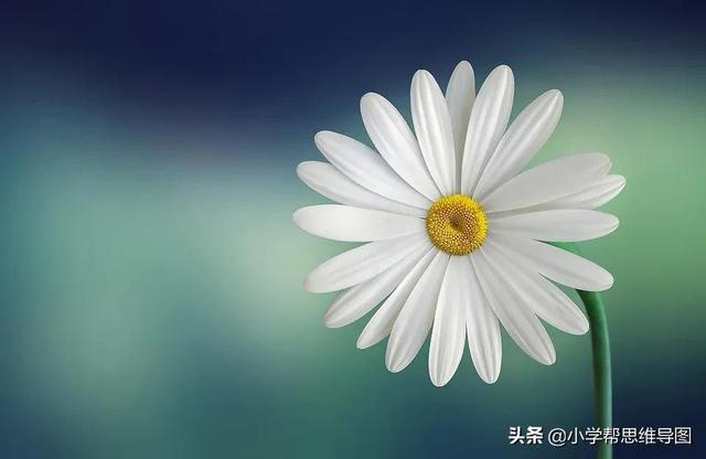 校园的生活作文300字四篇，写校园生活作文300字（《我的校园生活》写作技巧）