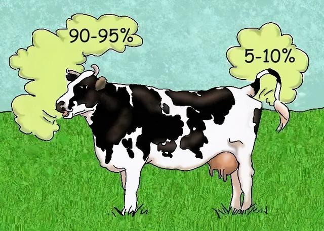 牛有几个胃，牛有几个胃子（牛的四个胃都有啥用）