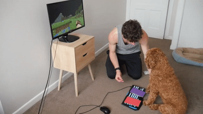 我的世界狗怎么驯服，网友教自家狗子玩《我的世界》