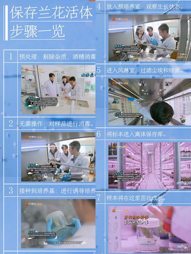 地球脸红了是什么梗，地球脸红了电视剧全集在线观看（竟为地球母亲带来如此伤害）